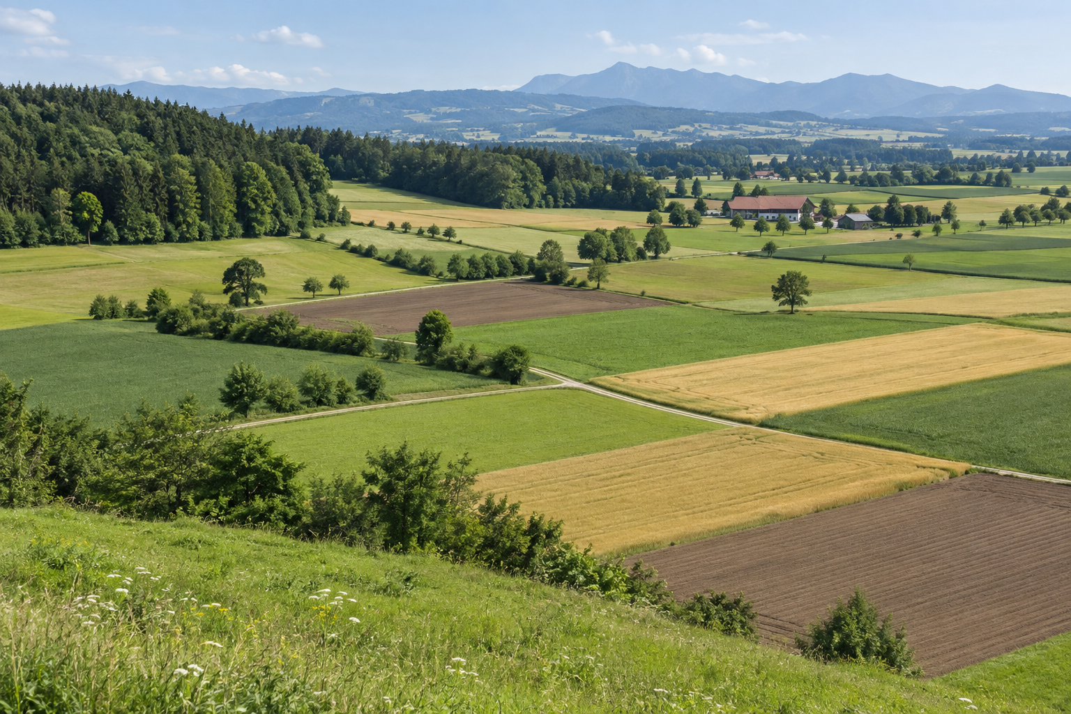 Mosaik größerer landwirtschaftlicher Flächen in Europa
